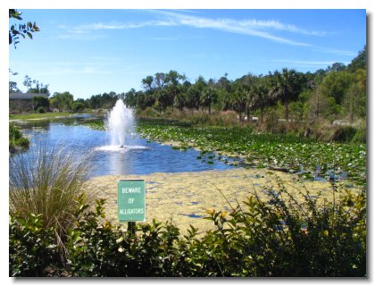 Florida 2006 (45)